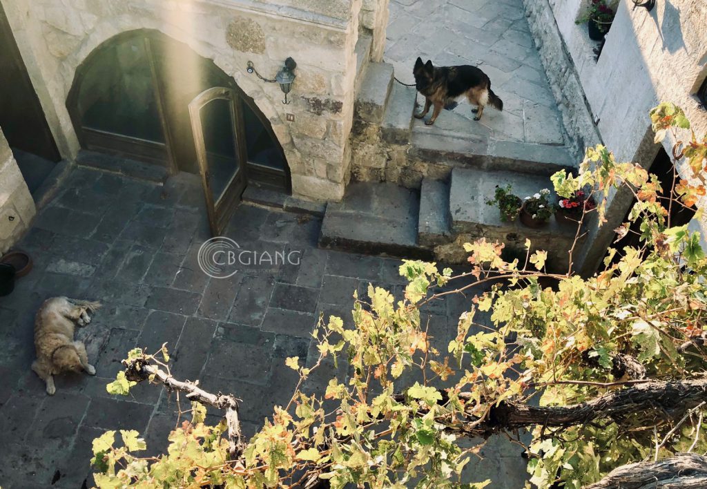 cappadocia-room-for-rent